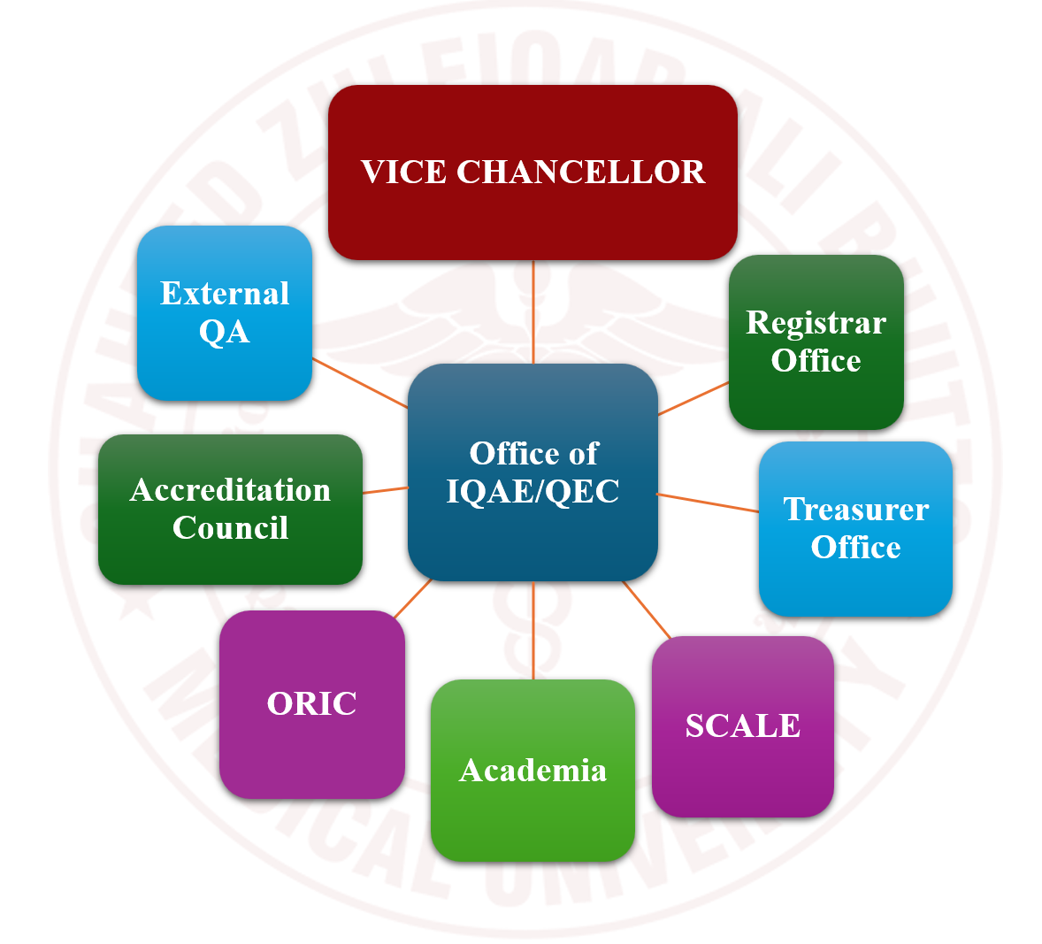 IQAE Organizational Chart